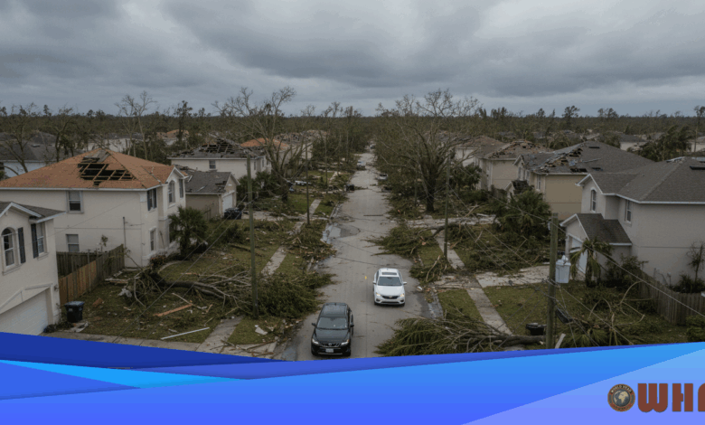 BTC Risk Scoring Faces Scrutiny As Zillow Removes Data